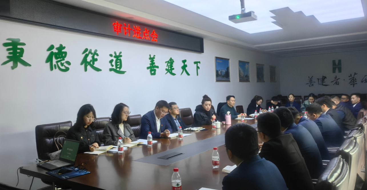 公司党委委员、纪委书记付晓一行到绵阳青义项目督导复工复产工作